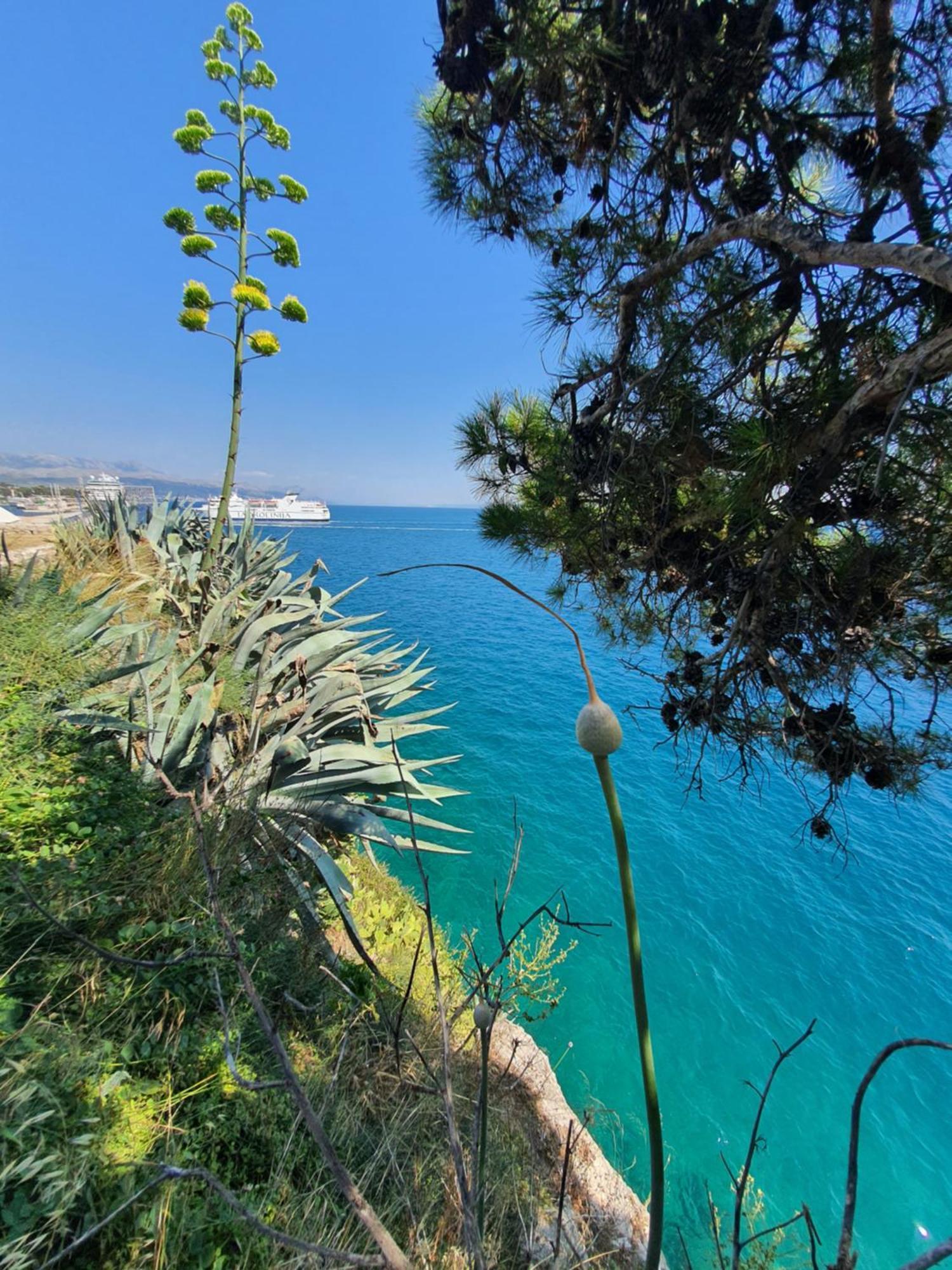 Old Town Hesed Διαμέρισμα Σπλιτ Εξωτερικό φωτογραφία